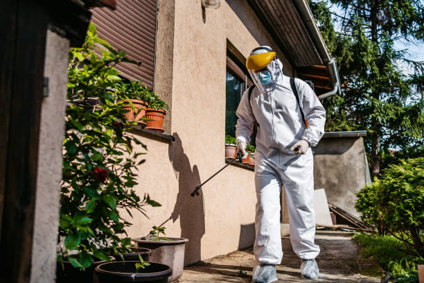 Best Wasp Removal Services  in Hornell, NY