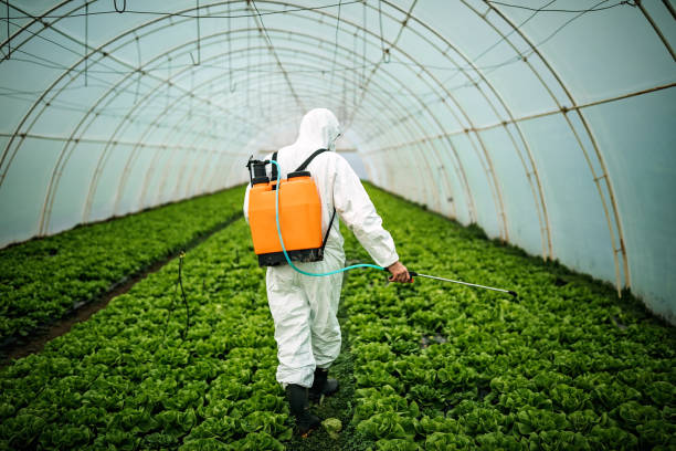 Best Pest Removal Services  in Hornell, NY