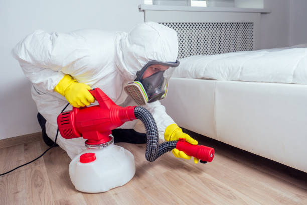 Best Bed Bug Extermination  in Hornell, NY