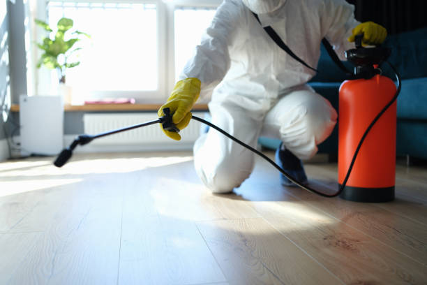Best Flea Control Services  in Hornell, NY