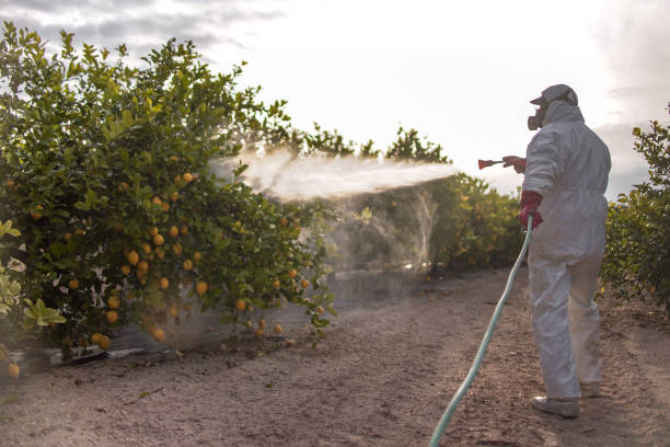 Professional Pest Control in Hornell, NY