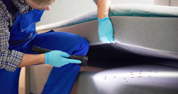 Best Wasp Removal Services  in Hornell, NY